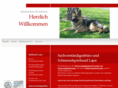 bautenschutz-hoffmann.de