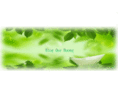 vnquehuong.net