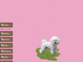 rosherta-bichons.com