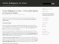 comoadelgazarlacara.com