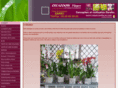 creazoomfleurs.com