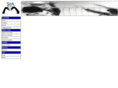 volleystellaazzurra.com