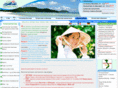traveltovietnam.ru