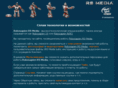 robosapien.biz