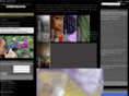 photodimensions.net