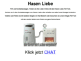 hasen-liebe.de