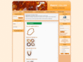 ambre-collier.com