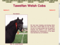 tawelfan.com