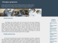 symptomsshingles.org