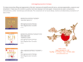 ejicosmetics.com