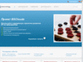 businesolutions.com