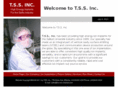 tss-ion-implant.com