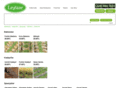 lezzaze.com