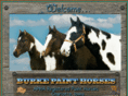 burkepaints.com