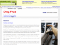 dingfree.net
