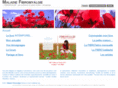 maladie-fibromyalgie.com