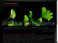 netgaleria.net.pl