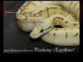 luisalonsoexotics.com