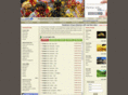 indiatourinfo.com