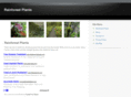rainforestplants.org