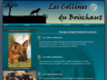 collinesduboischaut.com