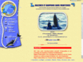 bdsf.net