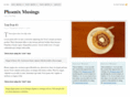 phoenixmusings.com