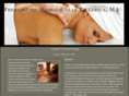 theraputicmassage.biz