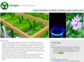 serigasinternational.com