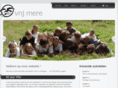 vnjmere.org