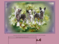 le-chien-chinois.com