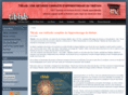 tiblab.com