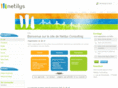 netilys.com