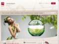fmgroupschweiz.ch
