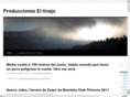 produccioneseltinajo.com