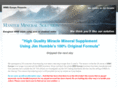 mmseurope.info