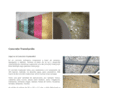 concretotraslucido.com