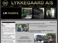 lmpump.com