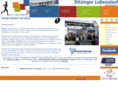 ditzinger-lebenslauf.de