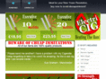 electricig.com