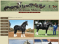jensonshires.com