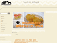 jan-s.com