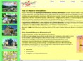 nazarov-stimulation.com