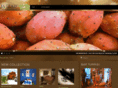 sicilianbedandbreakfast.com