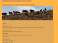 s-africa.info