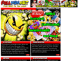 fullmsn.net