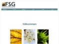 fsgab.com
