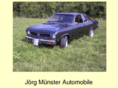 xn--mnster24-65a.net
