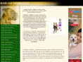 boxer-dog-information.com