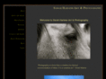 sarahharless.com